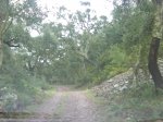 DSC00068.JPG