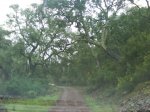 DSC00069.JPG