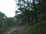 DSC00052.JPG