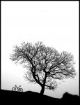 BICICLETA-ZEN-2.jpg