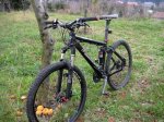 bici.jpg
