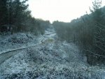 Nieve.09 001 [].jpg