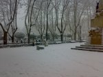 Lozoya065.jpg