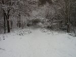 IMGP2671.JPG