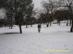 DSC04069 (Large).JPG