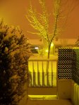 100_0924.jpg