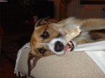 DSC00673.jpg