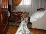 Fin-de-aÃ±o-2004-027.jpg