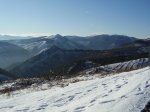 P1090007.jpg