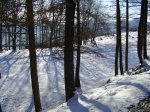 P1090009.jpg