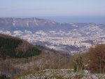 P1090010.jpg