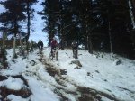 DSC01403.jpg