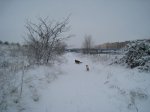 IMG_4827.jpg