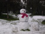 100_2466.jpg