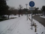 100_2475.jpg