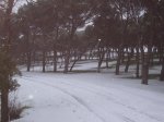 100_2485.jpg