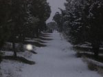 100_2514.jpg