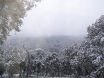 100_2518.jpg