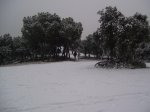 100_2528.jpg