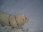 100_2554.jpg