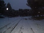 100_2575.jpg