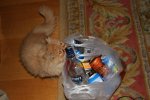 IMG_2533.jpg