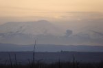 DSC00050.jpg