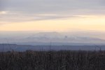 DSC00049.jpg
