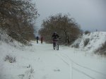 PICT0353.JPG