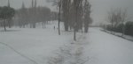 Panorama 1 (Medium).JPG