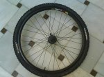 DSC00186.jpg