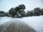 MACATA EN LA CARRETERA CASTILLA.jpg