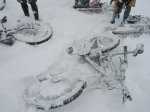 DSCN0213.JPG
