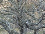 PICT0002.JPG