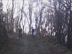 PICT0006.JPG