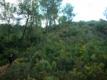 serra 10-1-09 006.jpg