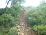 serra 10-1-09 008.jpg