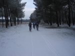 DSC01882.jpg