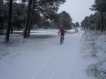 DSC01884.jpg