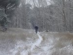 DSC01898.jpg