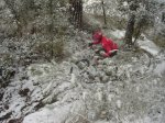 DSC01901.jpg