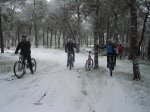 DSC01905.jpg