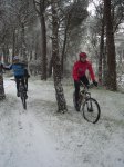 DSC01906.jpg