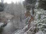 DSC01907.jpg