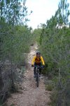 bici 042vikingos.jpg
