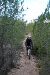 bici 038vikngos.jpg
