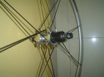 rueda 8.JPG