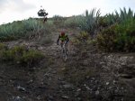 SDC10125_redimensionar marc.JPG