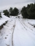 DSCN0188.JPG