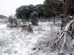 alcorcon nevado 4.jpg